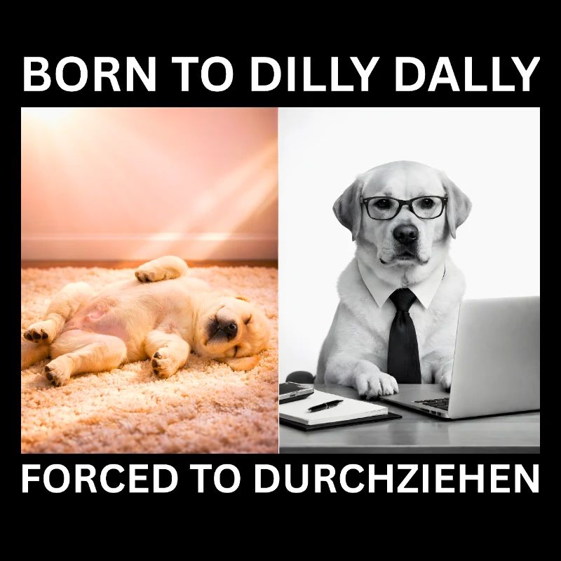 Labrador Meme - Born to Dilly Dally / Forced to Lo