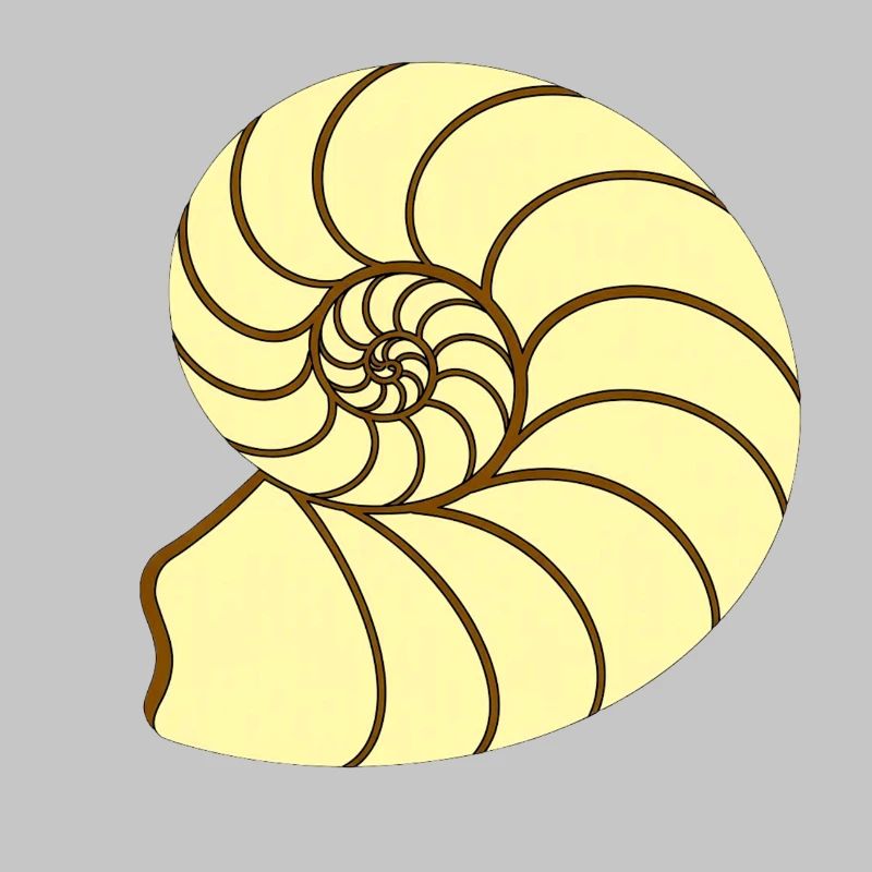 Ammunit Drawing