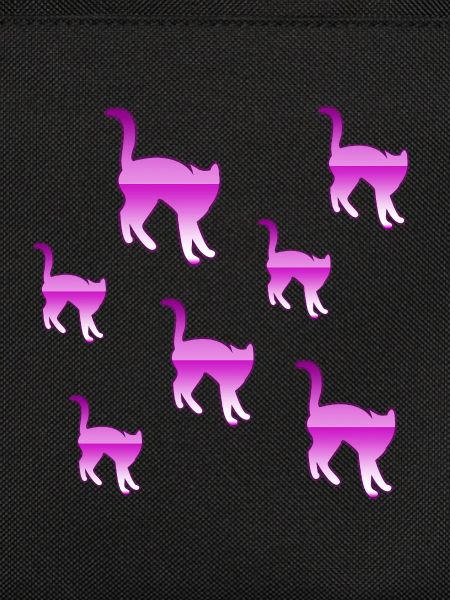 feline