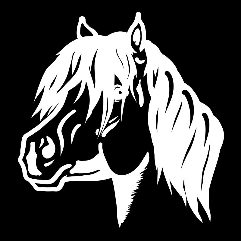 Portrait de poney blanc