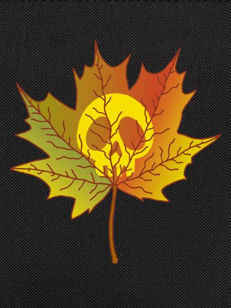 Skull and dead leaf