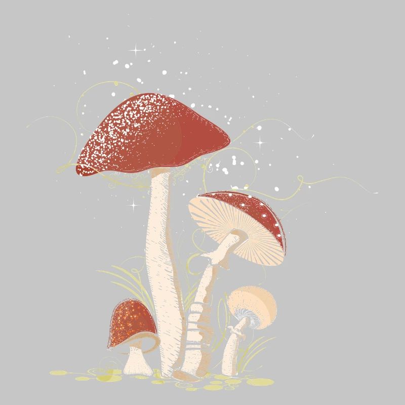 Magical toadstools in the forest illustrated