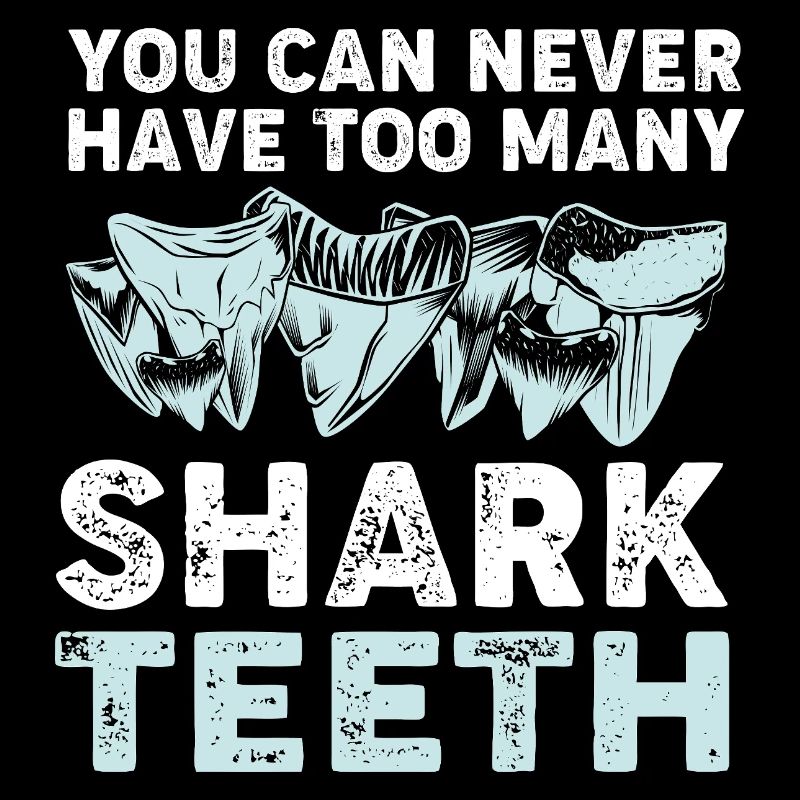 Shark Teeth Sharks Tooth Shark Teeth