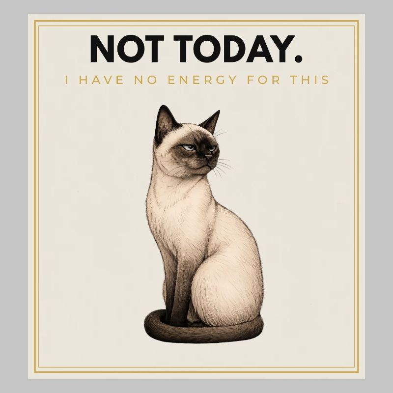 NOT TODAY. Noble Cat Introvert Meme Design