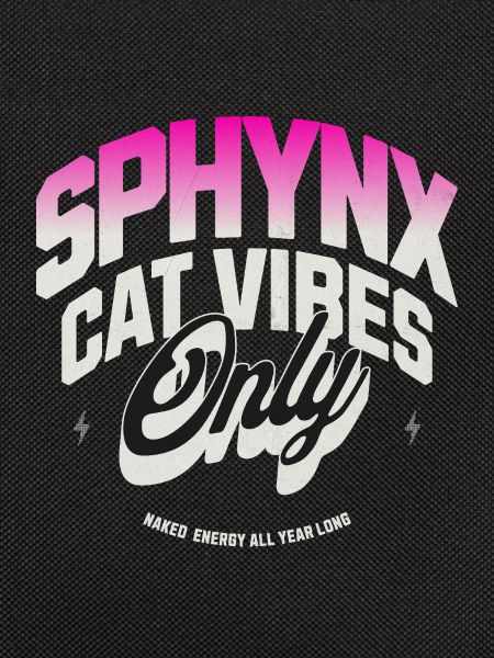 Sphynx-Katzen-Vibes