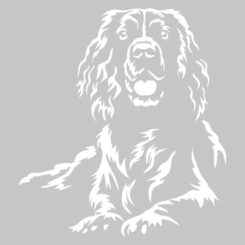 Englischer Springer Spaniel "Black Edition"