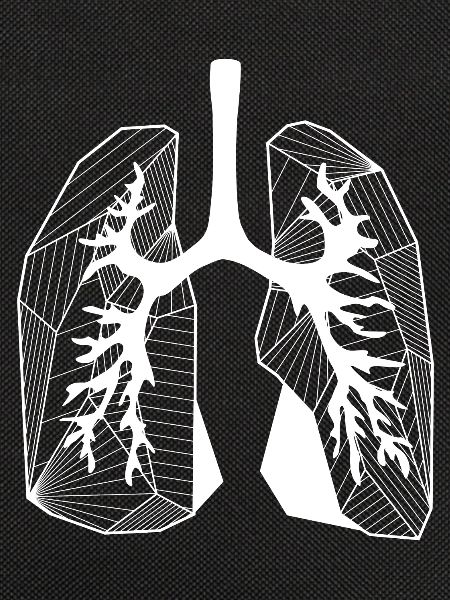 Lungs