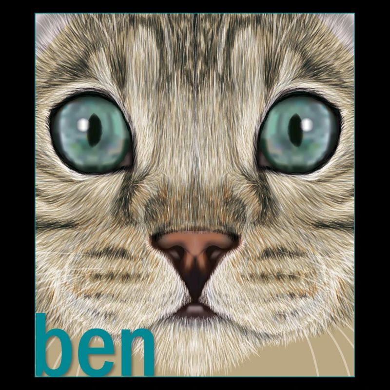 Bengalkatze 