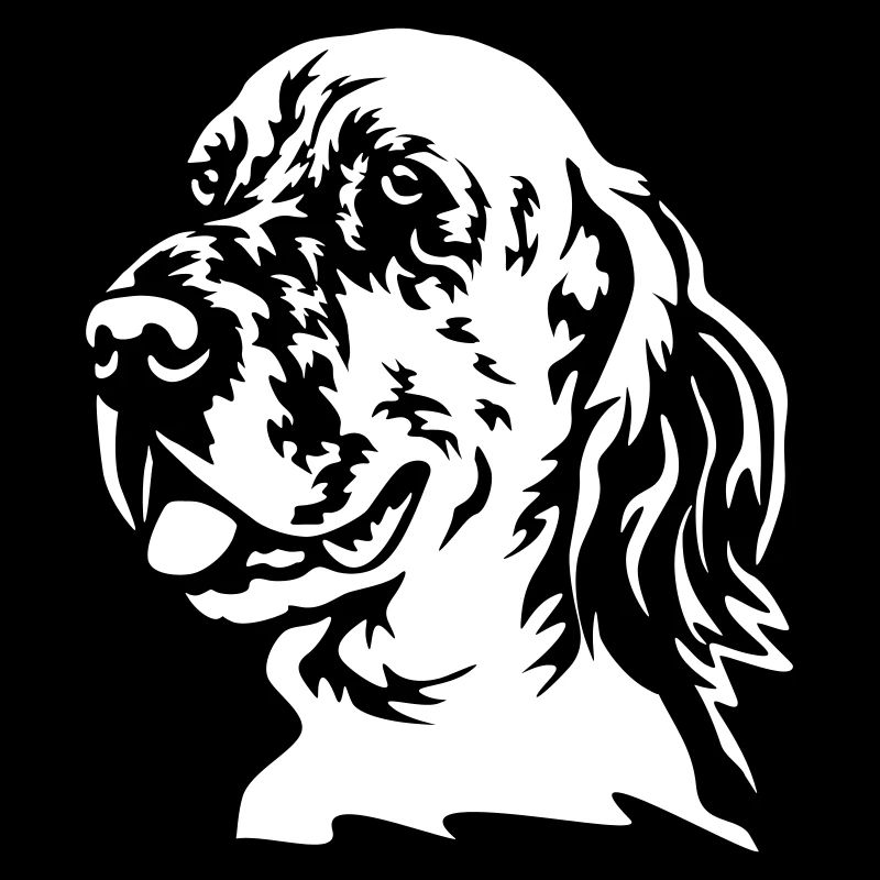 Chef de setter anglais « Black Edition »