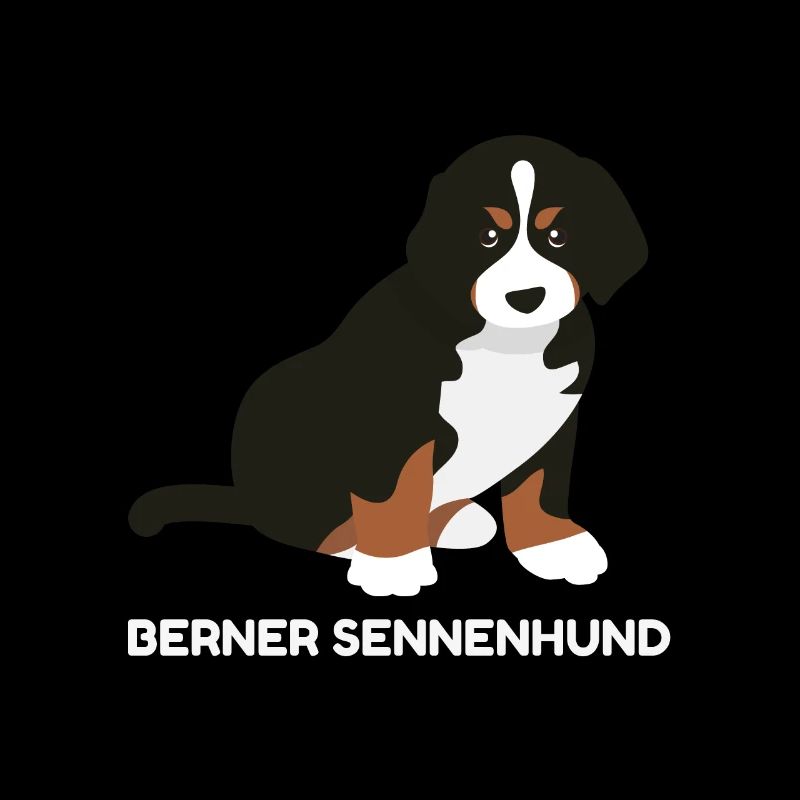 Berner Sennenhund Welpe