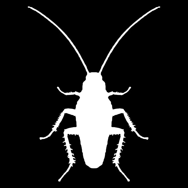 Entomologiste d’insectes cafards
