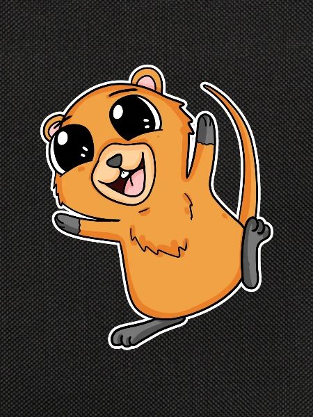 Quokka