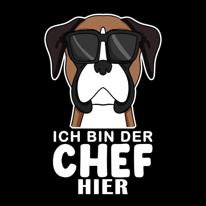 Hund Deutscher Boxer Cool Chef