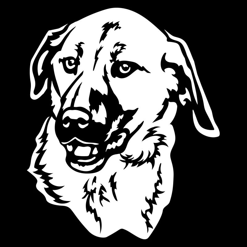 Kangal Head « Black Edition »
