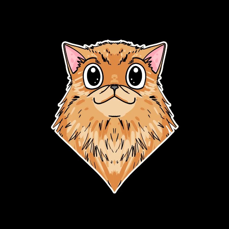 Chat persan Race de chat Chat