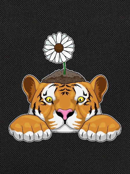 Tiger Gänseblümchen 