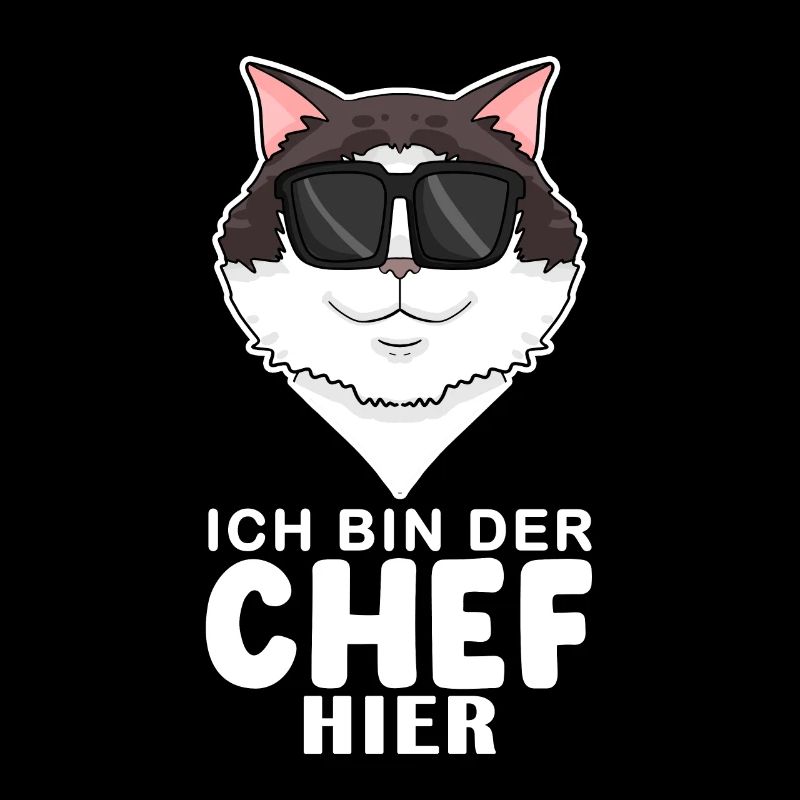 coole Katze - Ragdoll Katze - Chef Spruch