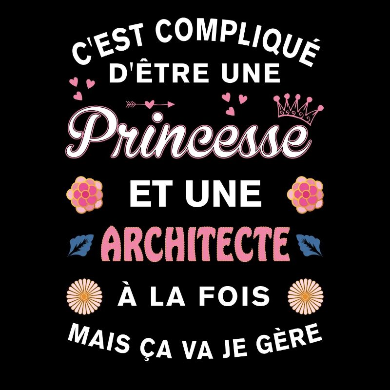Cadeau Humoristique architecte Princesse