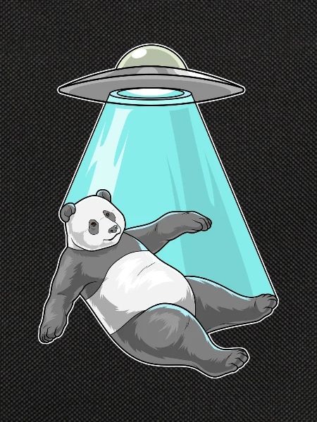 Panda Spaceship Space