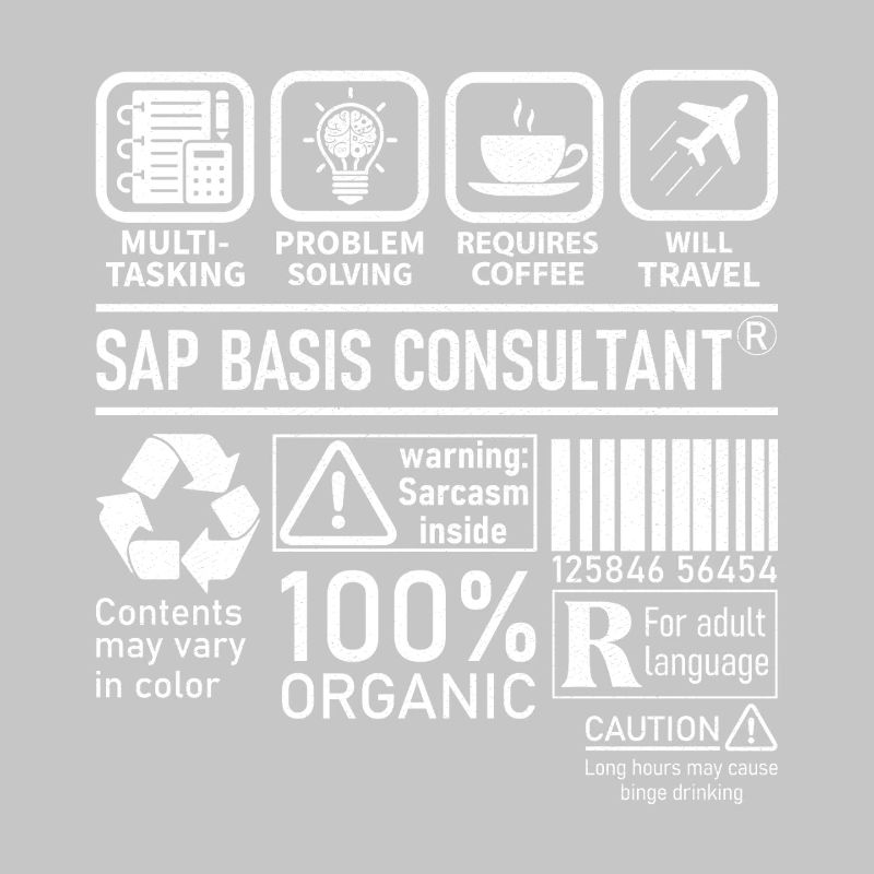 Sap Basis Consultant multi tasking problem solving