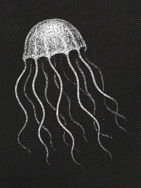 Jellyfish