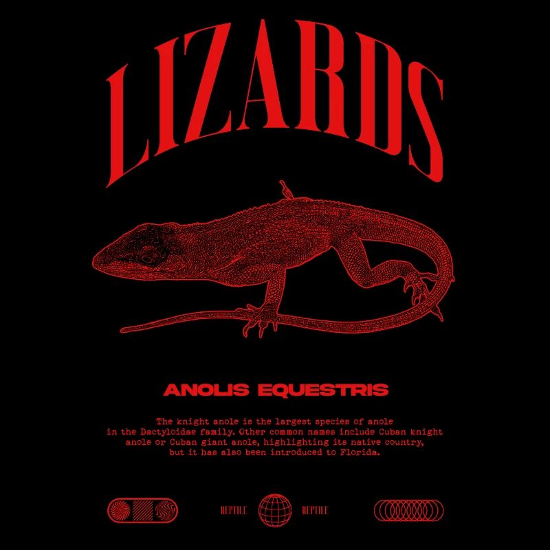 Cuban Knight Anole Reptile Keeper Lizard