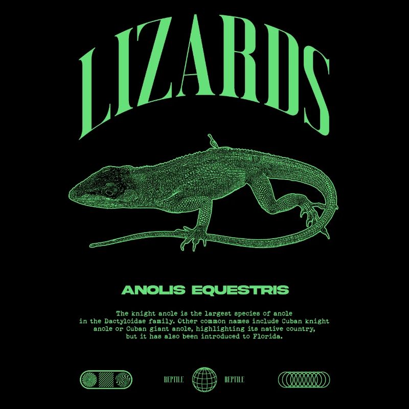 Cuban Knight Anole Reptile Keeper Lizard