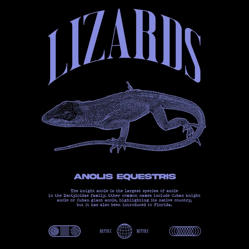 Cuban Knight Anole Reptile Keeper Lizard
