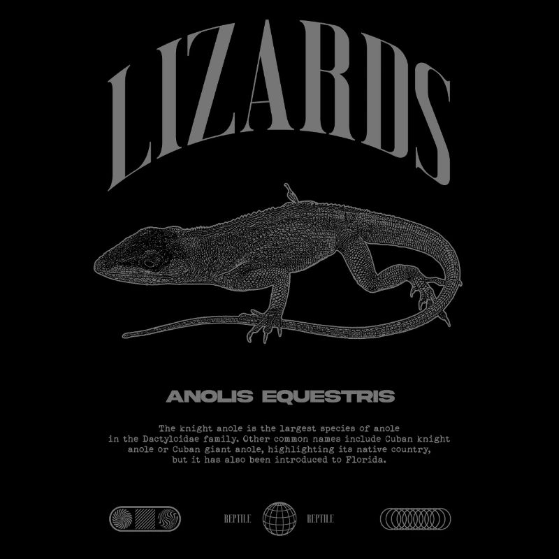Cuban Knight Anole Reptile Keeper Lizard