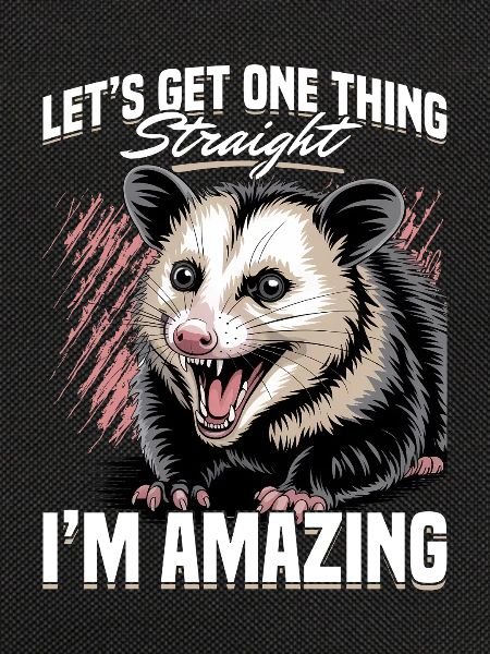 Funny Opossum