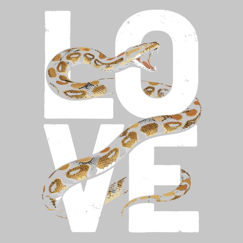 Königspython Schlangen LOVE Terrarium Python