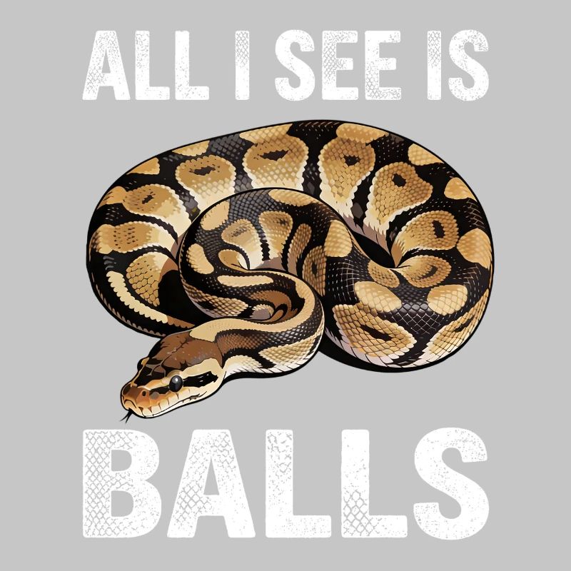 Königspython Schlangen Liebhaber Terrarium Python