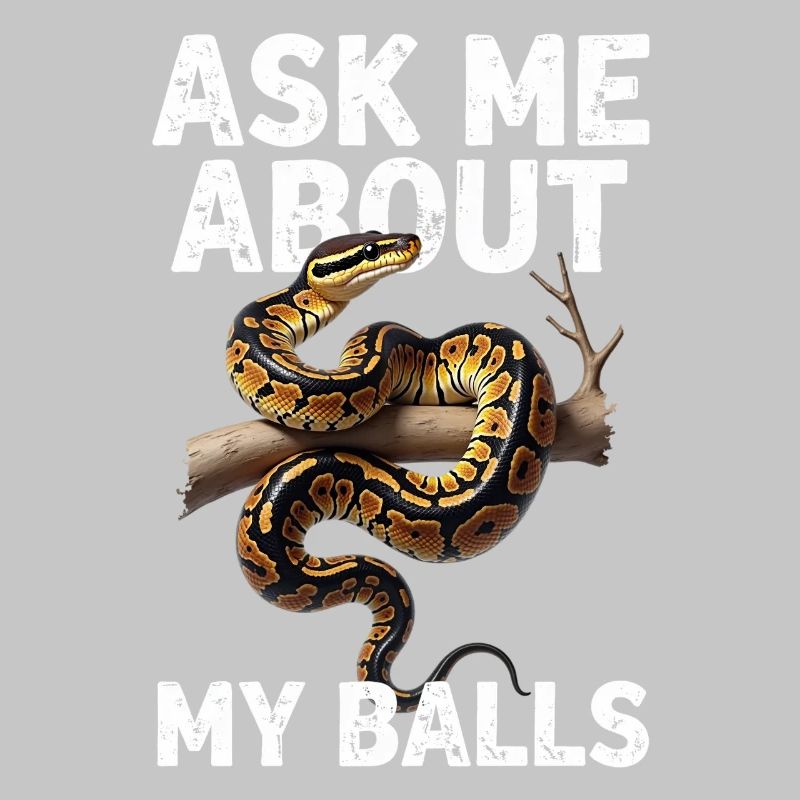 King Python Snakes Lover Terrarium Python