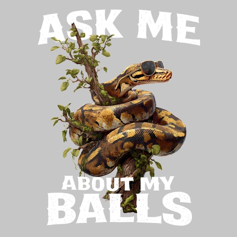 Königspython Schlangen Liebhaber Terrarium Python