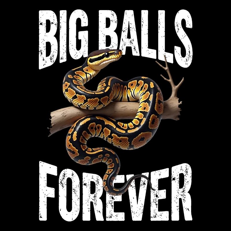 King Python Snakes Lover Terrarium Python