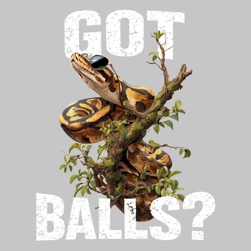 King Python Snakes Lover Terrarium Python