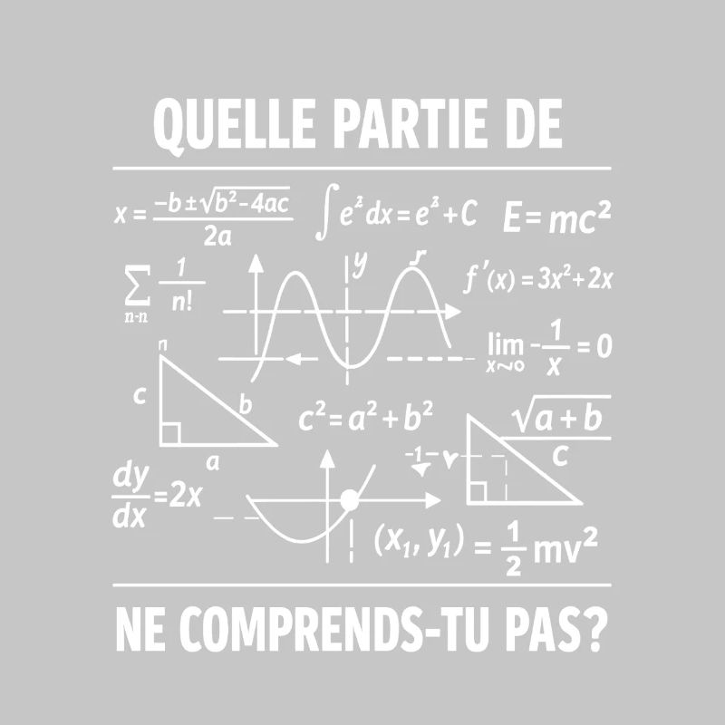 Math Teacher Humor Gift Funny Mathematician