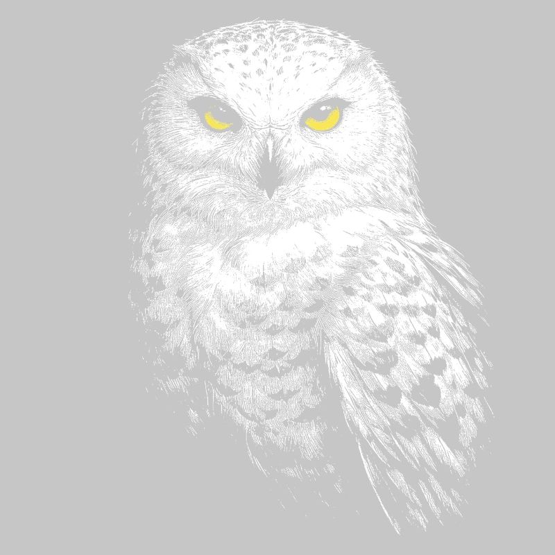Schneeeule