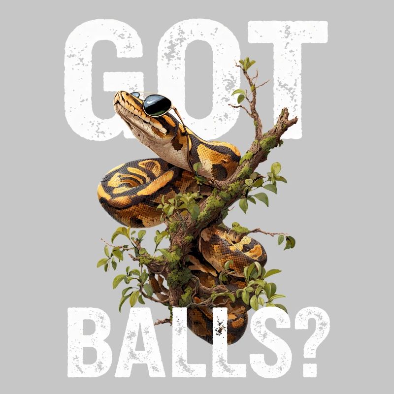 Königspython Schlangen Liebhaber Terrarium Python