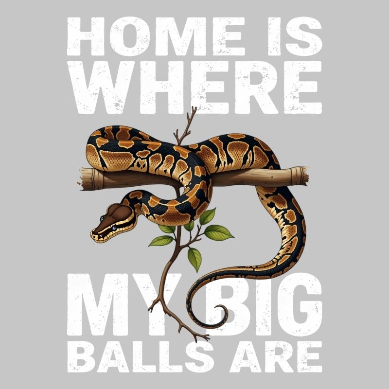 Königspython Schlangen Liebhaber Terrarium Python