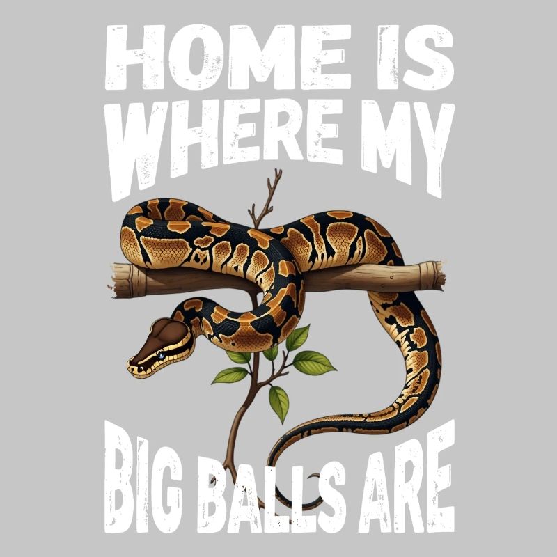 Königspython Schlangen Liebhaber Terrarium Python