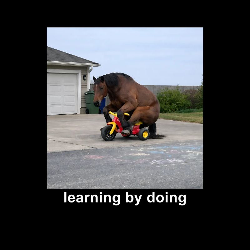 Learning By Doing Horse Meme Funny Humor