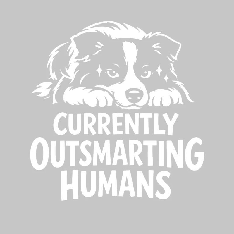 Plus intelligent que toi | Expression du Border Collie