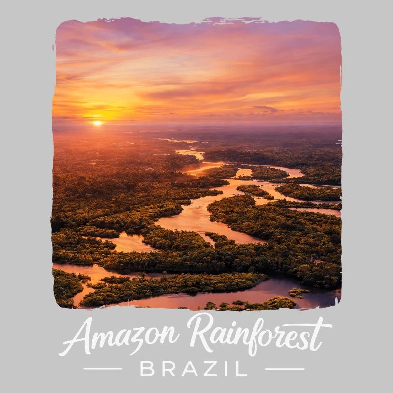 Rainforest Sunset Brazil
