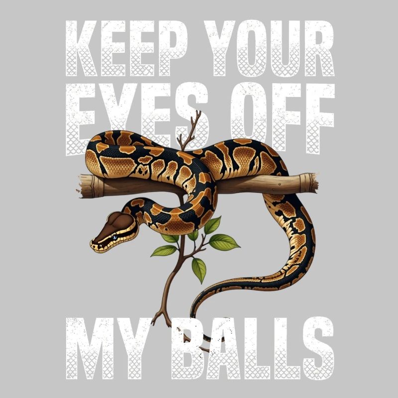 Python roi Serpents Amateurs de terrarium Python