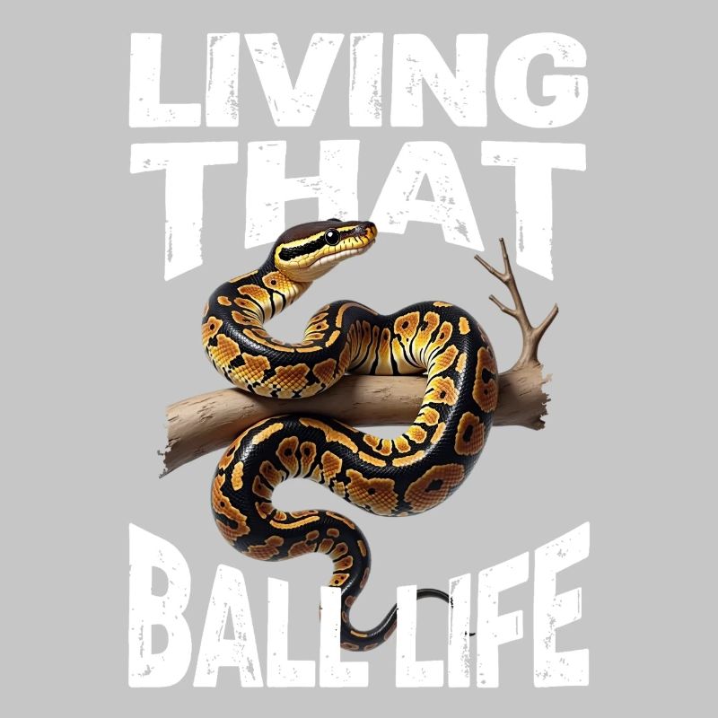 Königspython Schlangen Liebhaber Terrarium Python