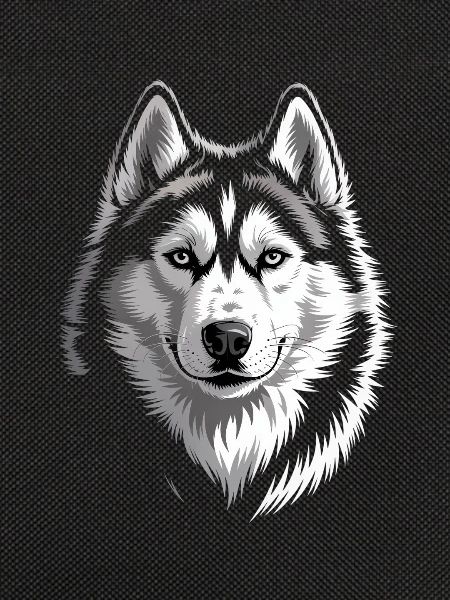 Husky