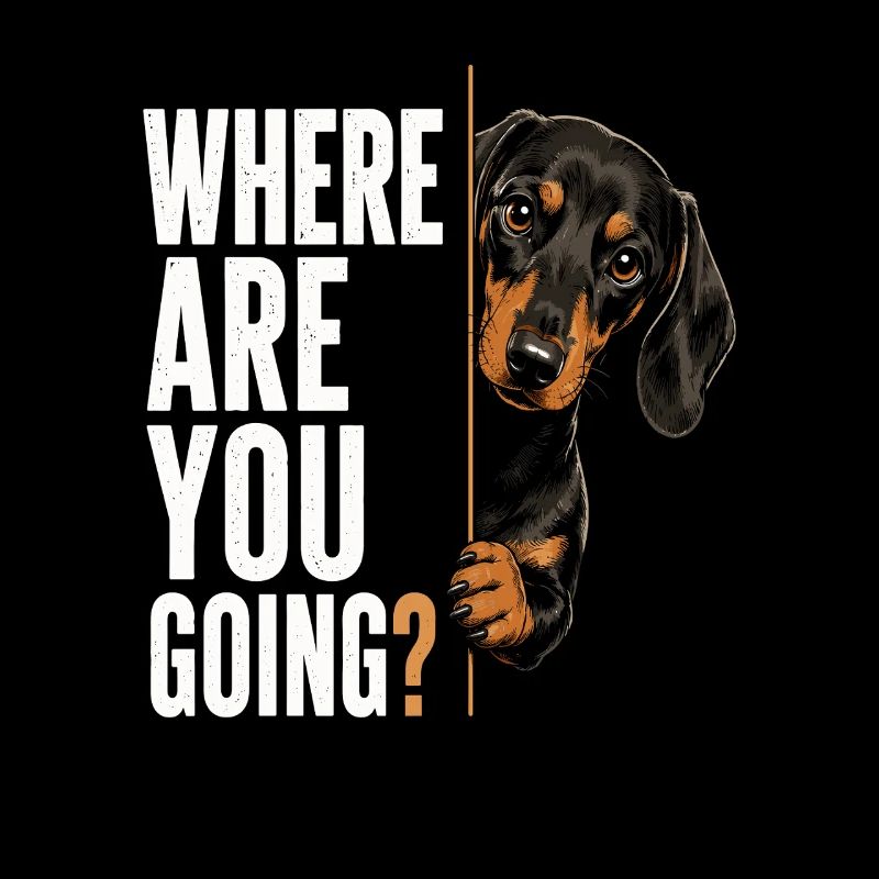 Where Are You Going? Dog view