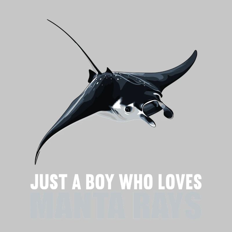 Rays Manta Rays