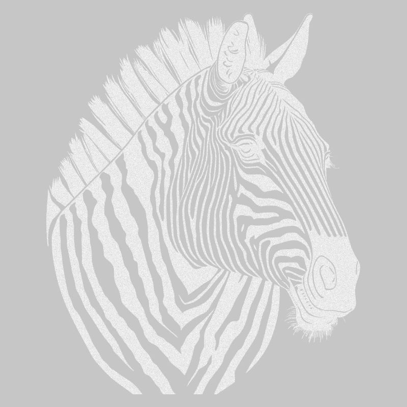 Zebra Noir